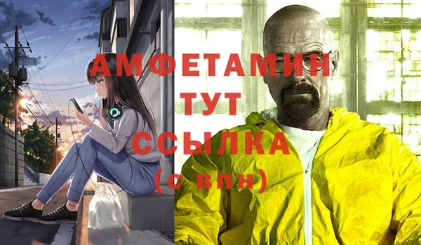 стафф Алзамай