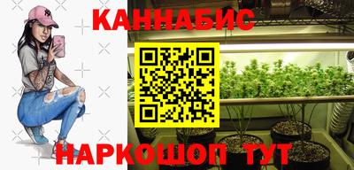 a pvp Моздок