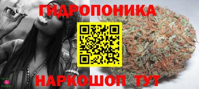 a pvp Моздок