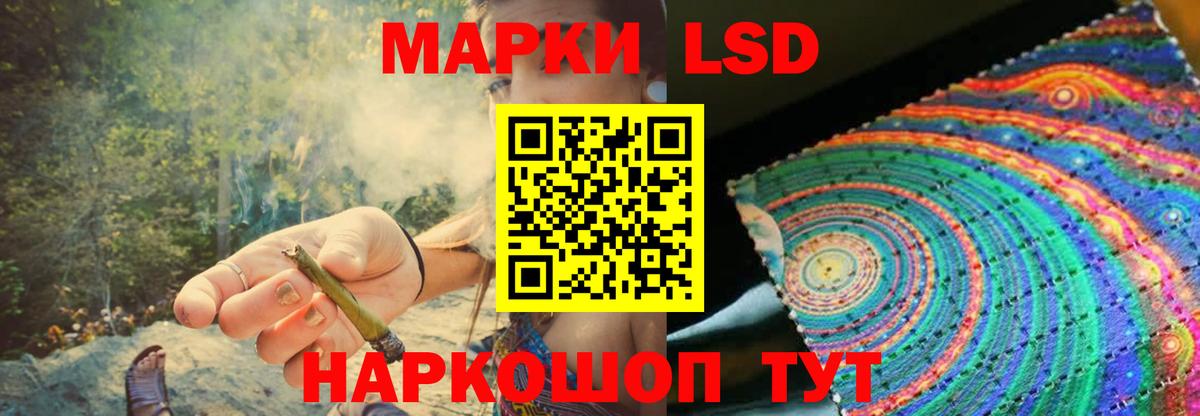 Бошки Шишки Прохладный