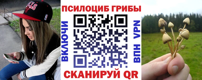 даркнет сайт  Прохладный  Псилоцибиновые грибы ЛСД 