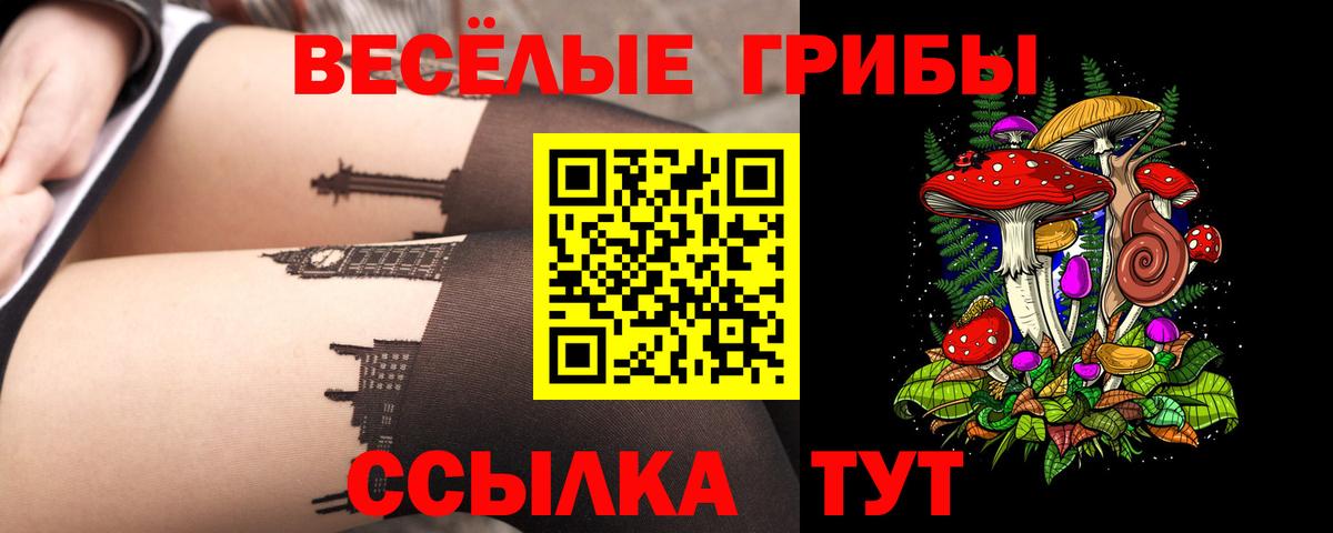 Прохладный  Галлюциногенные грибы Psilocybine cubensis  Вход с VPN  Галлюциногенные грибы мухоморы 